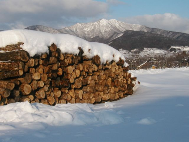 原木栽培